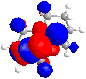 File:Ex5-homo-12.jpg