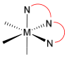 Facial conformation of dien ligand