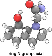 Isomer 14 ring N substituent axial