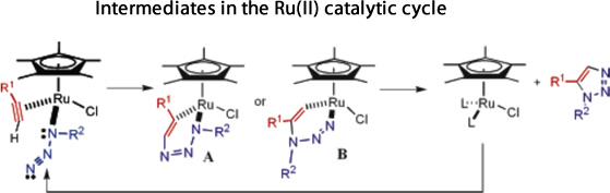 Ru(II) catalytic cycle for the 1,3-dipolar cycloaddition between an azide and an alkyne