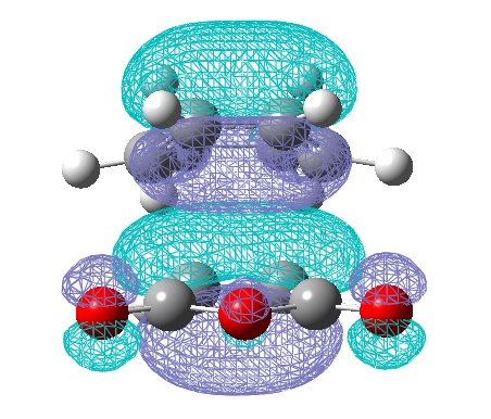 File:Hemal endo maleic am1 homo-1.jpg