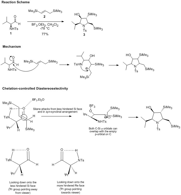 Details of the Stereoselective Synthesis of Functionalized Pyrrolidines