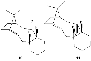Taxol intermediates