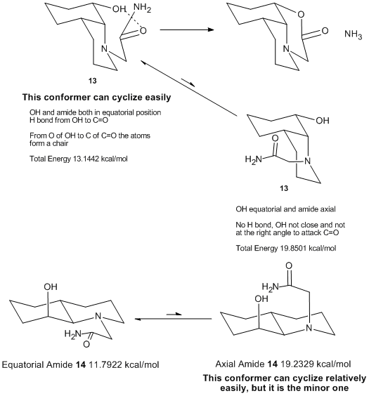 Amide Hydrolysis Structures