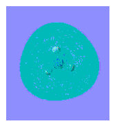 168 × 190px