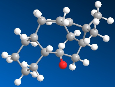File:TAXOL 11.jpg