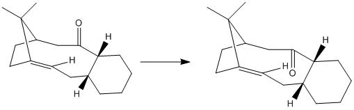 File:Taxol atropisomers.jpg