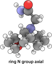 Isomer 13 ring N substituent axial