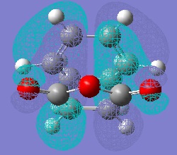 File:EndoTSHOMO1.jpg