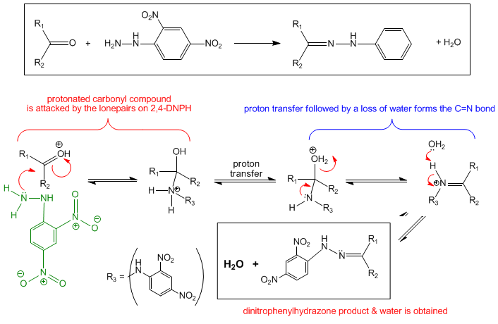 Mechanism for Reaction of 2,4-DNPH with carbonyl compounds