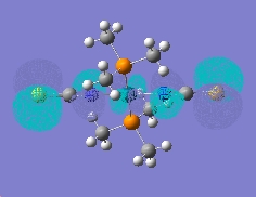 File:Homopd.jpg