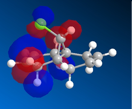 File:Ms HOMO.jpg