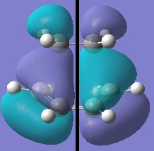 HOMO B