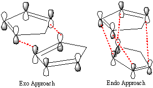 File:Exo vs. Endo.png