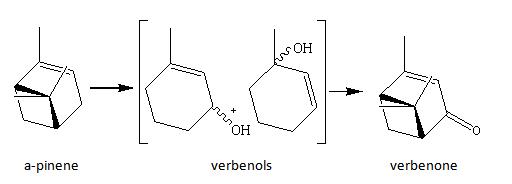 oxidised verbenone.JPG