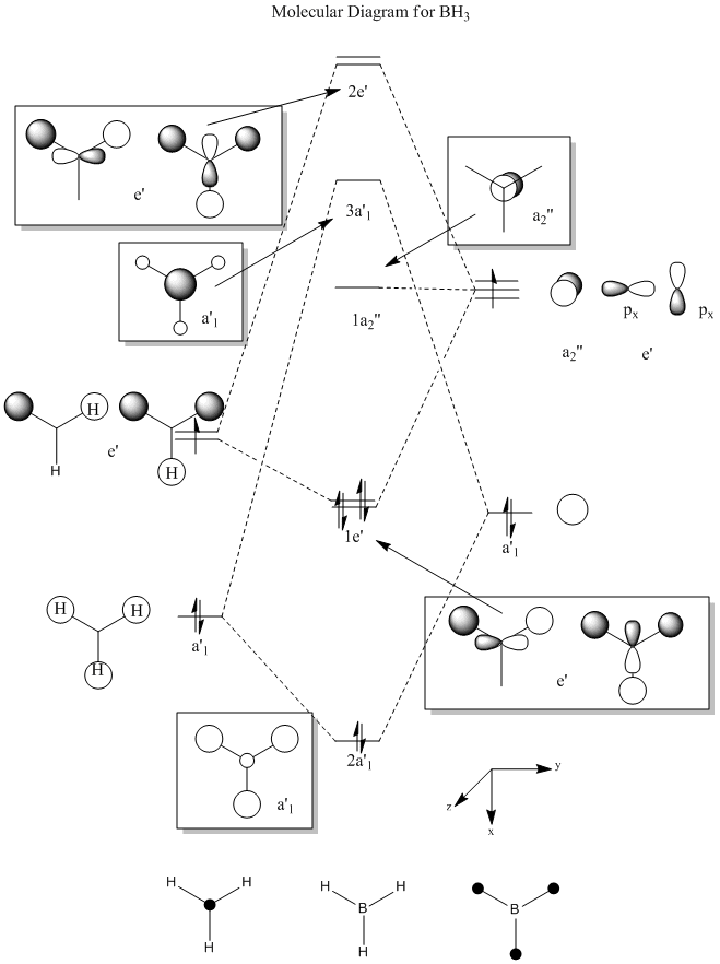 BH3 MO Diagram