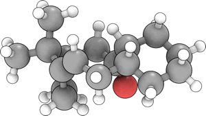 Isomer 11