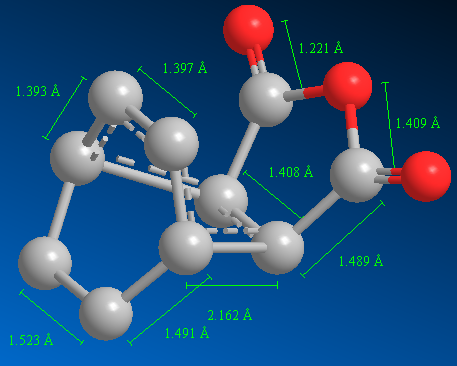 File:Endo TS AM1 lengths FIshan.png