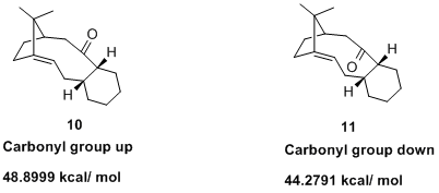Structures for the Intermediates of a Taxol Synthesis