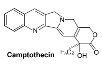 camptothecin