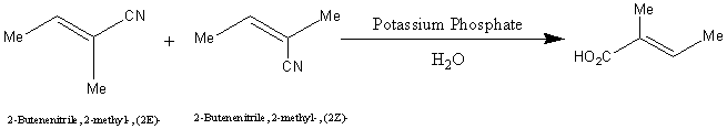 Reaction Scheme