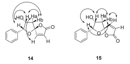 File:TWPNOE differences 14 and 15.jpg