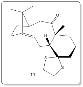 Figure_5_taxol