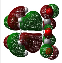 File:Ptfendomatshomo.jpg