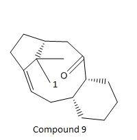 File:Tax9.jpg
