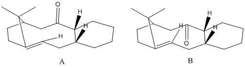 Example alt text