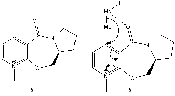 Molecule 5