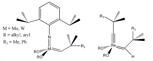 General Structure of Schrock Catalysts