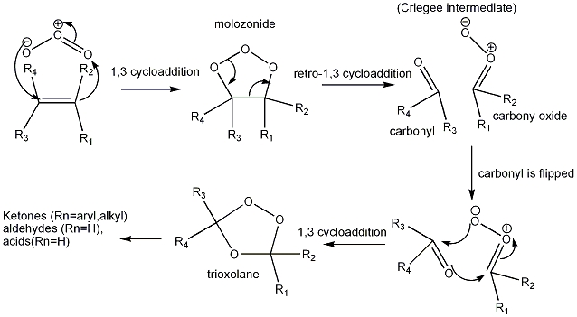 Mechanism of ozonolysis