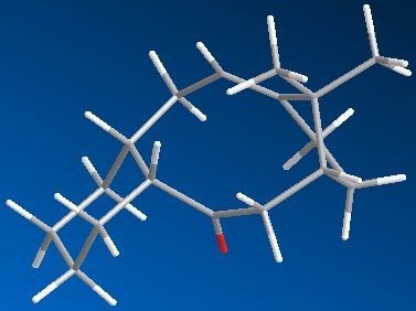 File:Mr607isomer fully lowered total.jpg