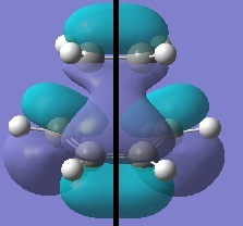 HOMO B