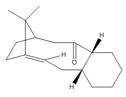File:Taxol 10 mb3210.jpg