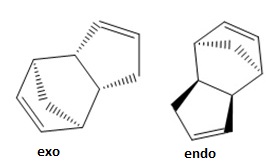 File:Endo exo.jpeg