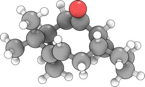 Isomer 10