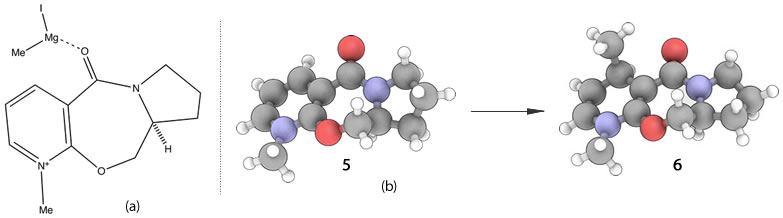 Chelation of the Grignard