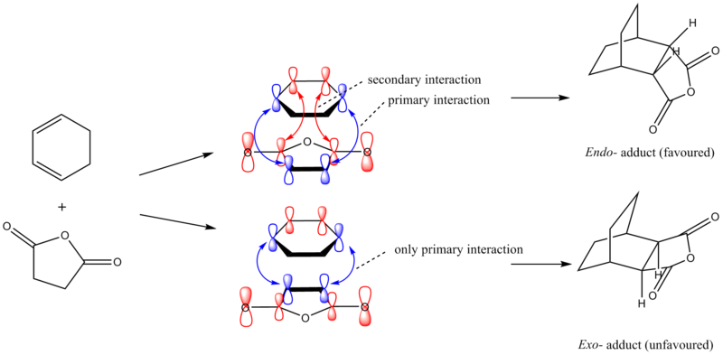 File:Exoendosoi myl.png