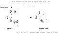 Thumbnail for version as of 13:49, 12 November 2009