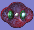 Thumbnail for version as of 17:00, 6 December 2011