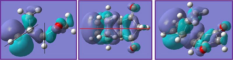 File:CnlexoHOMO.jpg