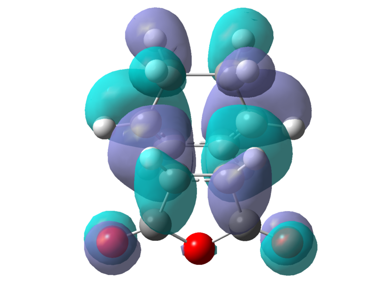 File:Endo HOMO mr308.png
