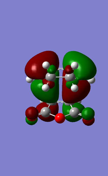 File:ExoHOMOelf.png