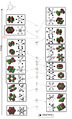 Thumbnail for version as of 17:47, 13 December 2014