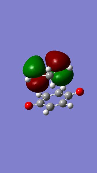 File:MOexoHOMO.jpg