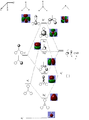 Thumbnail for version as of 16:47, 30 January 2014