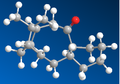Thumbnail for version as of 22:21, 21 January 2011