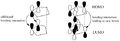 Thumbnail for version as of 16:44, 19 November 2009